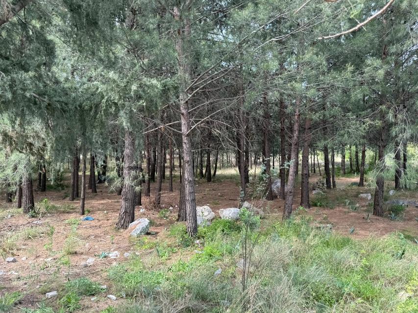 ANNE VE OĞLUNU ÖLDÜREN KATİL AKRABALARIN ÇALDIKLARI ALTINLARI KUYUMCUYA SATTIKLARI ORTAYA ÇIKTI