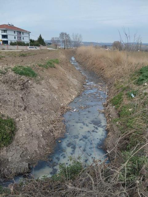 Lağım suyu, mahalleliye nefes aldırmıyor