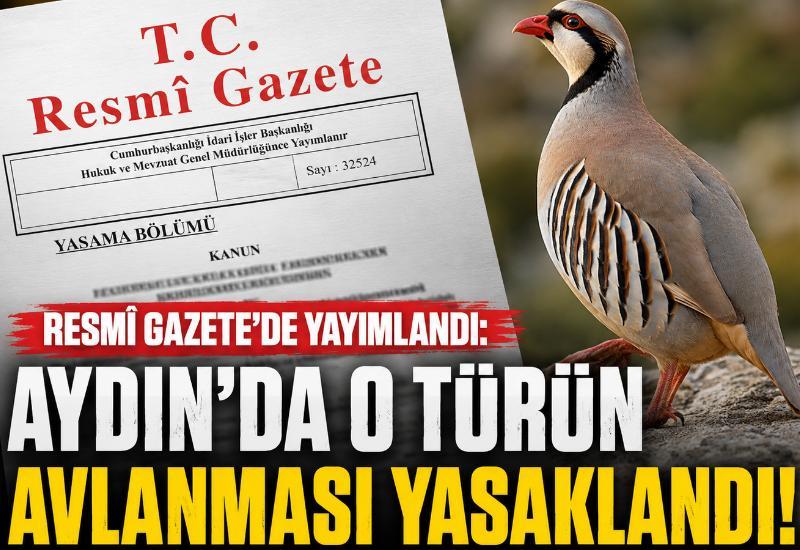 Resmi Gazete'de yayımlandı: Aydın'da o türün avlanması yasaklandı!