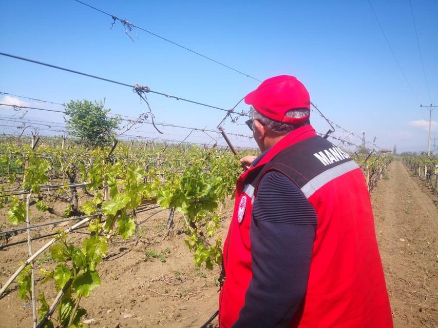 Don afetinin zararı 2,25 milyar TL