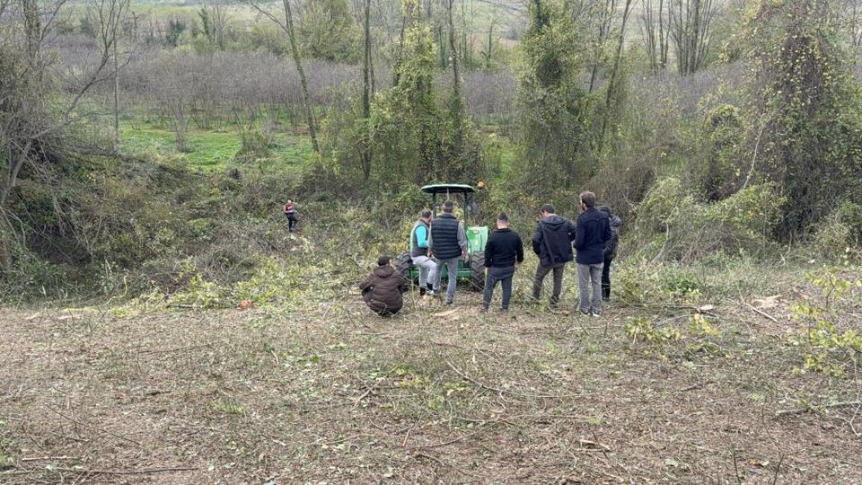 Komşusuna ağaç kesiminde yardım ederken canından oldu