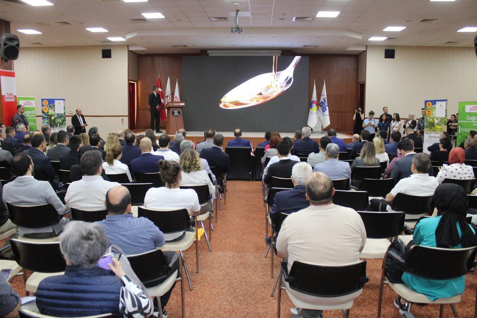 AYDIN MEMECİK ZEYTİNYAĞI, DÜNYA MARKASI OLACAK BAKAN YARDIMCISI GÖNÜLLÜ: "AYDIN'IN BEREKETİNE GÖNÜLDEN İNANIYORUZ"