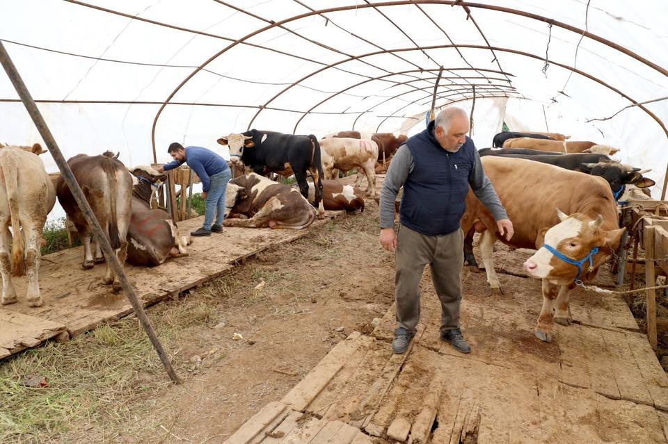 BAŞİSKELE'DEKİ KURBANLIK SATIŞ YERİNDE HAZIRLIKLAR TAMAM