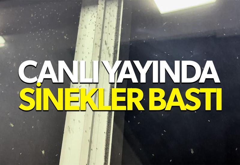 Canlı yayında sivrisinekler bastı