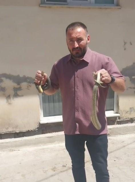 Komşusunun evine giren yılanları eliyle çıkardı