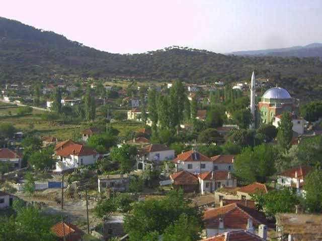Söke'nin o mahallesinde sinek alarmı