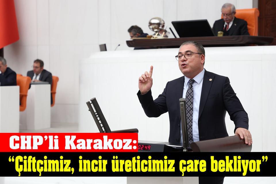CHP’li Karakoz: “Çiftçimiz, incir üreticimiz çare bekliyor”