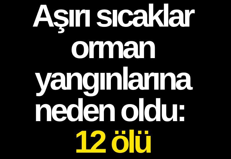 Aşırı sıcaklar orman yangınlarına neden oldu: 12 ölü