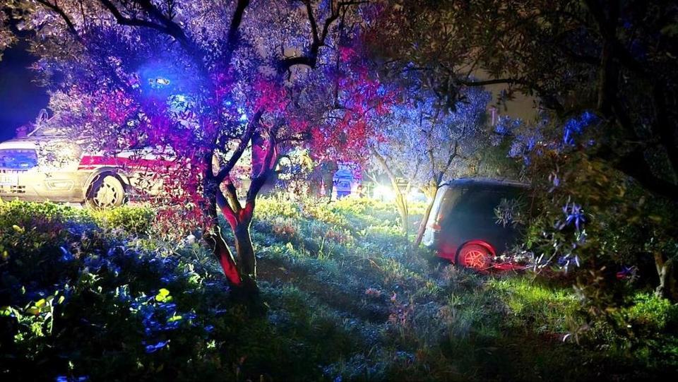 Kazadan kaçan sürücü zeytinliğe daldı