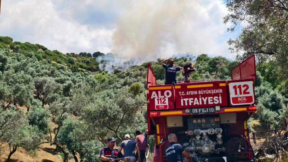 Aydın'da yangın paniği! 40 dekar alan zarar gördü