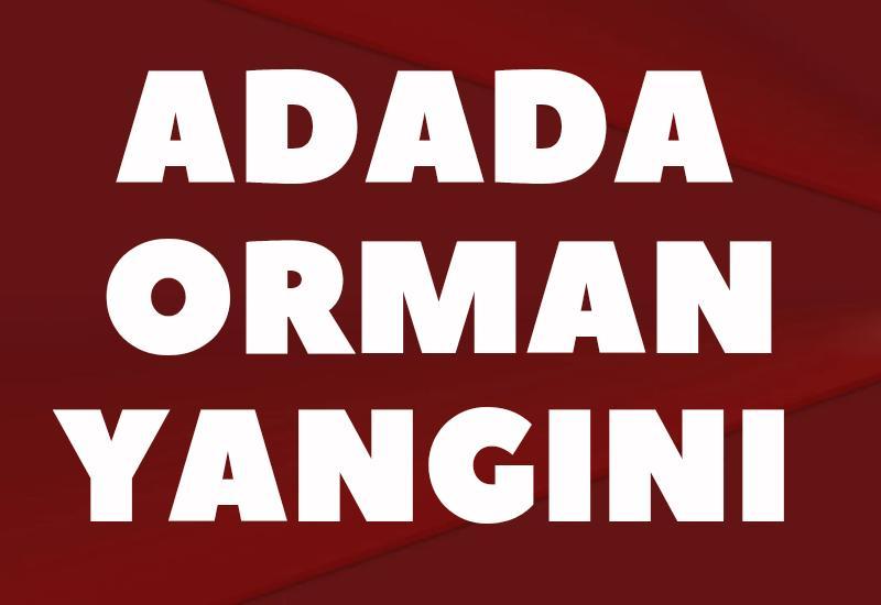 Adada orman yangını