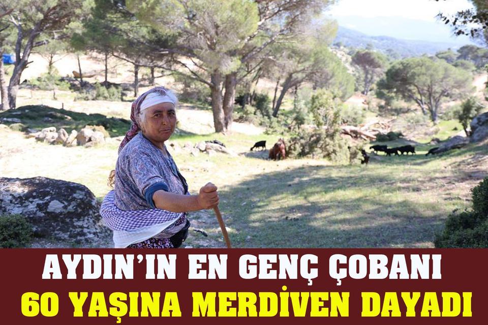 Aydın’ın en genç çobanı 60 yaşına merdiven dayadı