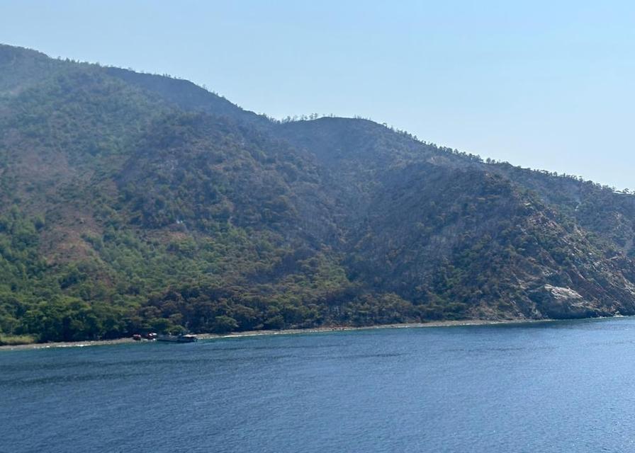 Marmaris'teki orman yangını kontrol altına alındı