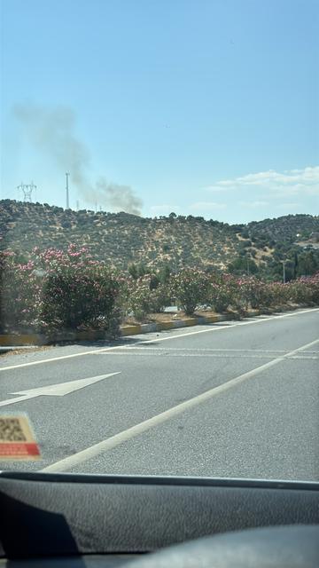 Çine'de yol kenarındaki yangın zeytinlik alana sıçradı