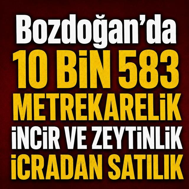 Bozdoğan’da 10 bin 583 metrekarelik incir ve zeytinlik icradan satılık