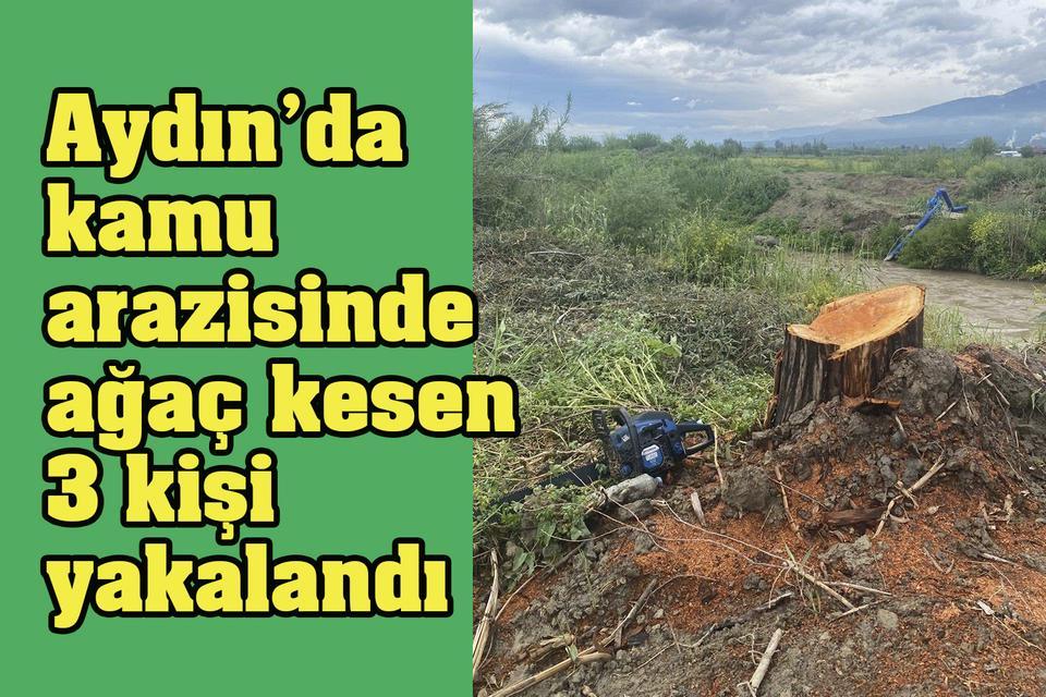 Aydın’da kamu arazisinde ağaç kesen 3 kişi yakalandı