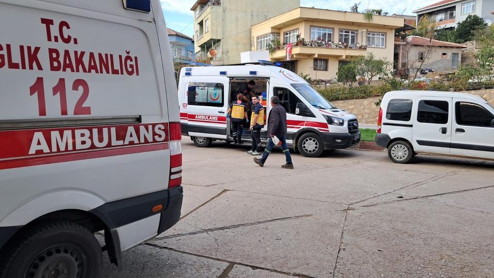 Zeytin işçileri hastanelik oldu