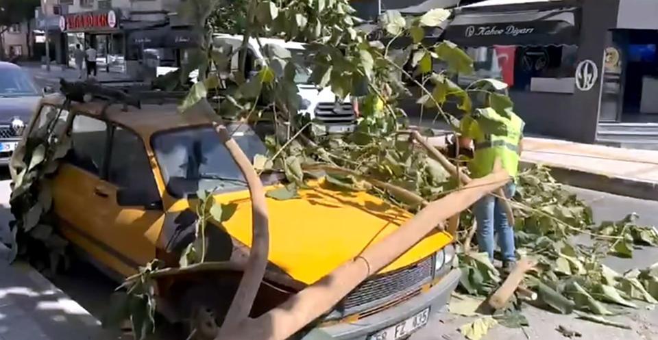 Aydın’da ağaç dalı park halindeki aracın üzerine düştü