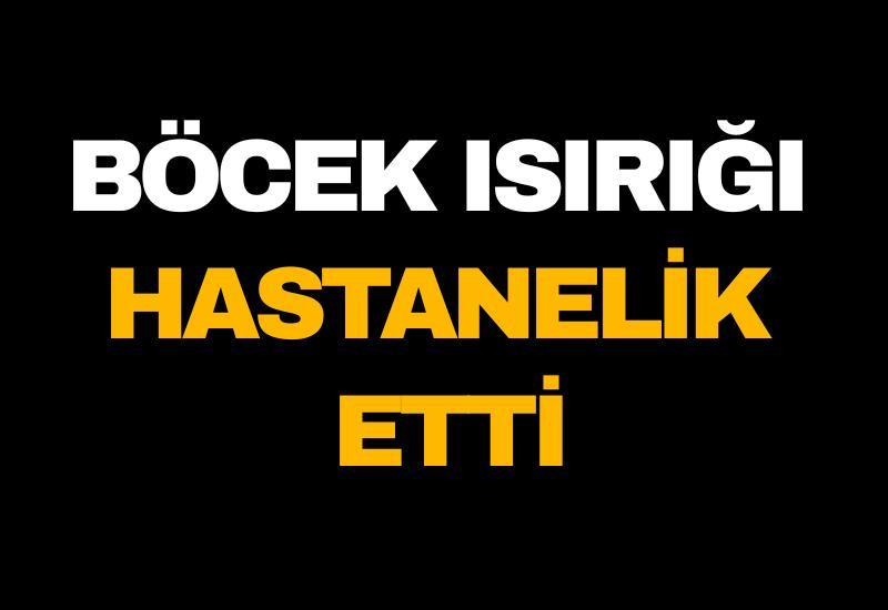 Böcek ısırığı hastanelik etti