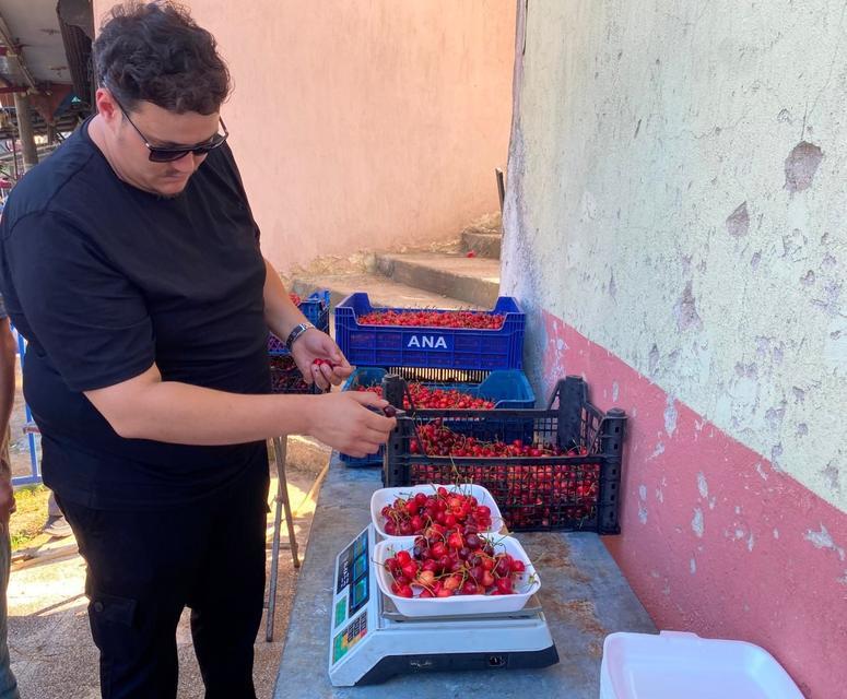 MANİSA'DA DÜZENLENEN KİRAZ FESTİVALİ'NDE KİRAZ YEME YARIŞMASI RENKLİ GÖRÜNTÜLERE SAHNE OLDU KIYASIYA MÜCADELENİN YAŞANDIĞI 5 DAKİKALIK YARIŞMANIN KAZANANI 2 GRAM FARKLA BÜYÜK ÖDÜLÜ KAZANDI