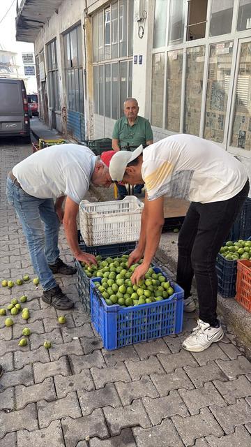Bozdoğan ileği kalitesiyle öne çıkıyor: İyi ileğin fiyatı 300 liraya kadar çıkıyor
