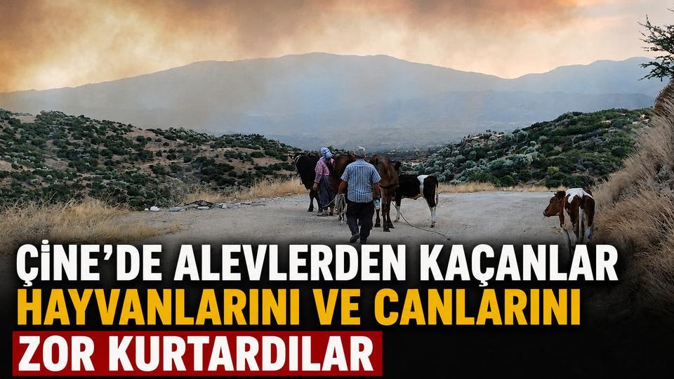 Çine'de alevlerden kaçanlar hayvanlarını ve canlarını zor kurtardılar