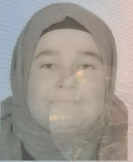 DAYI ARAZİ ANLAŞMAZLIĞI YÜZÜNDEN YEĞENİNİ ÖLDÜRDÜ