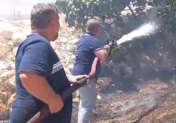 SİGARA İZMARİTLERİ YANGINLARA NEDEN OLDU İZMARİT ORMANI YAKIYORDU ŞANLIURFA'DA YAŞANAN İKİ AYRI YANGIN PANİĞE NEDEN OLDU