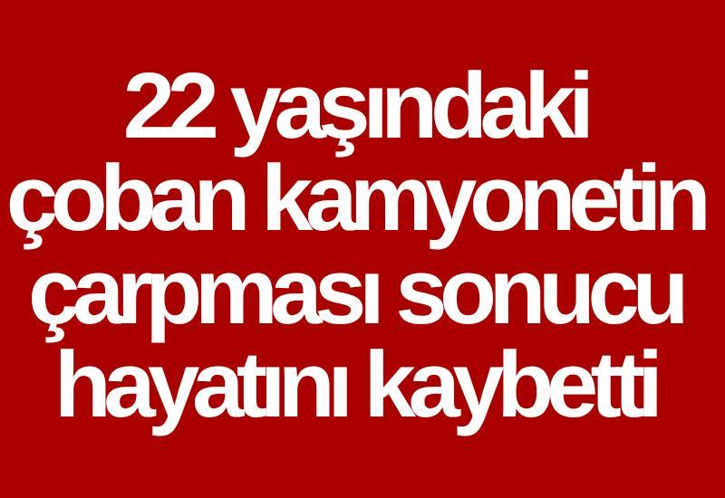 22 yaşındaki çoban kamyonetin çarpması sonucu hayatını kaybetti