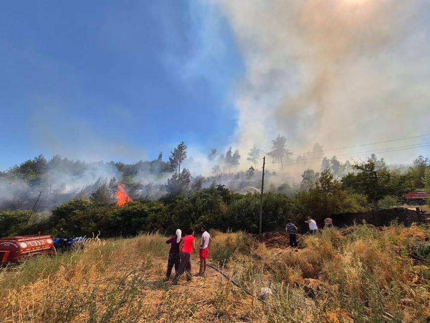 Muğla'da orman yangını