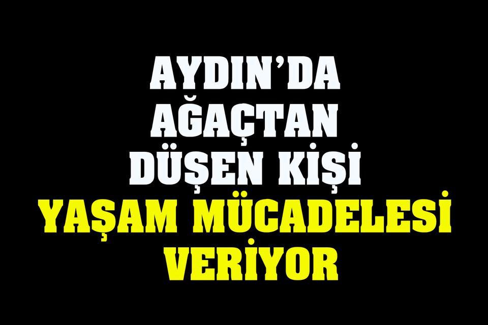 Aydın’da ağaçtan düşen kişi yaşam mücadelesi veriyor