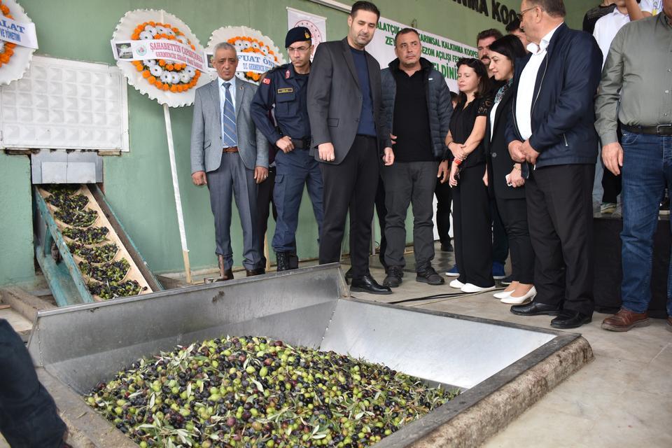 Germencik'te sezonun ilk zeytin sıkımı yapıldı