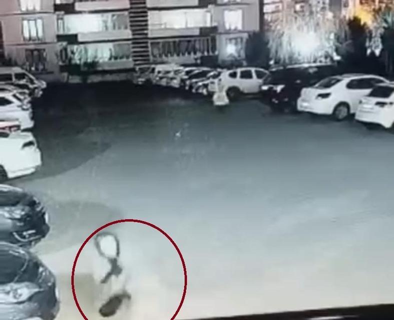 DİYARBAKIR'DA KÖPEK SALDIRISINI UĞRAYAN KADIN VE ÇOCUK CANINI ZOR KURTARDI KÖPEK SALDIRISI GÜVENLİK KAMERASINA YANSIDI: KADIN, KÖPEK SALDIRISINDAN KURTULMAK İÇİN ADETA GÜREŞTİ