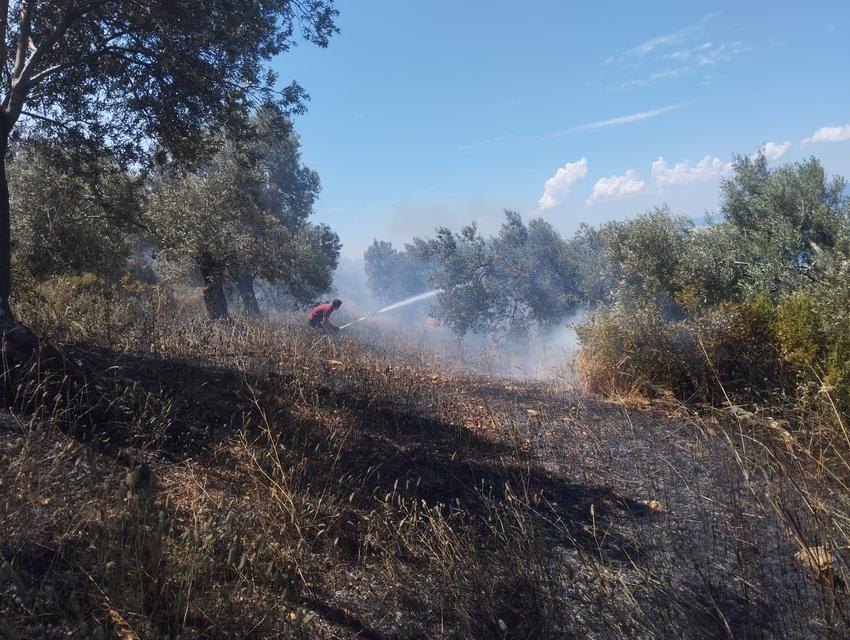 Zeytinlik yangınına havadan ve karadan müdahale ediliyor