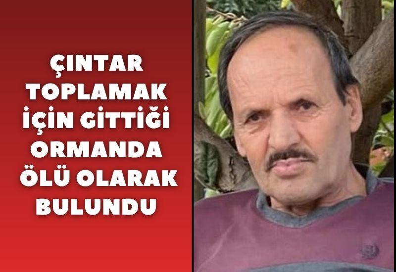 Çıntar toplamak için gittiği ormanda ölü olarak bulundu