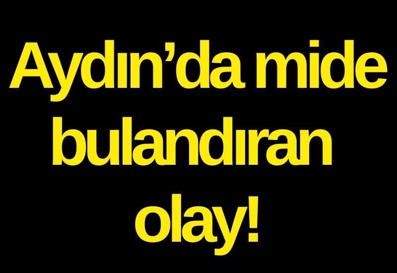 Aydın’da mide bulandıran olay!
