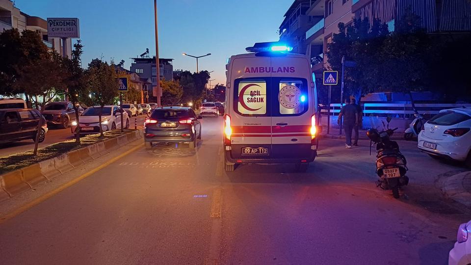Aydın'da yola fırlayan kedi kazaya neden oldu: 1 yaralı
