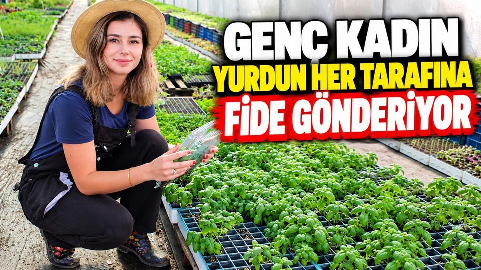 Genç kadın yurdun her tarafına fide gönderiyor