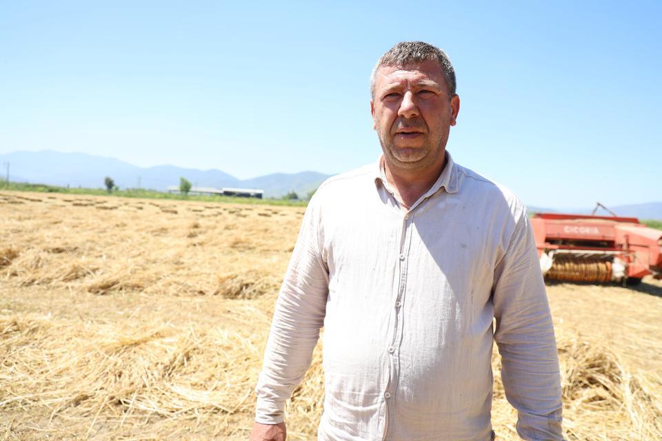 ÇİNE OVASI'NDA BALYA MESAİSİ BAŞLADI ÇİFTÇİNİN UMUDU BU YIL YÜKSEK