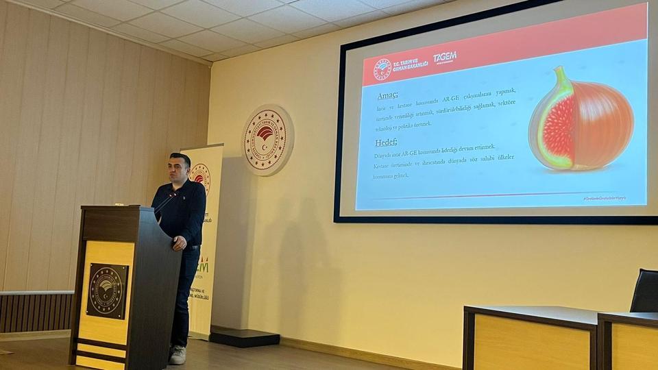 Kuru incirde kalite hamlesi: Aydın’ın 12 ilçesinde eğitim seferberliği