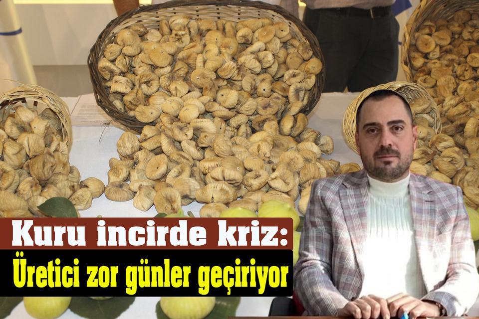 Kuru incirde kriz: Üretici zor günler geçiriyor