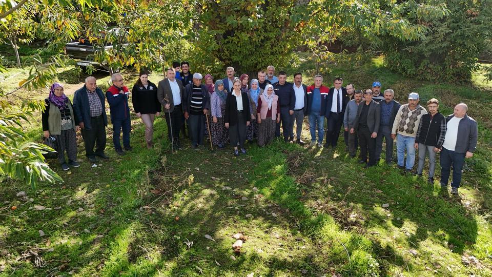 KAYMAKAM KAN, KESTANE HASADINA KATILDI