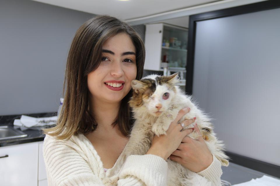 YARALI KEDİ TEK GÖZÜYLE HAYVAN SEVERLER SAYESİNDE HAYATA TUTUNDU