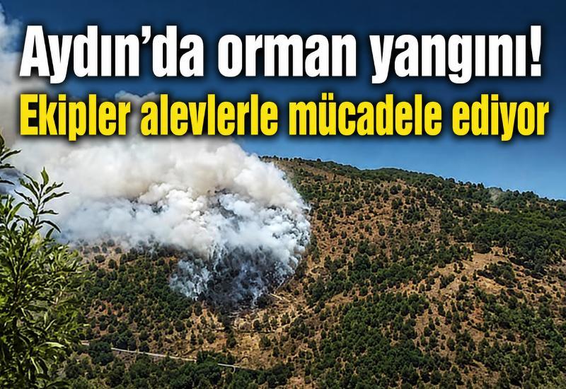 Aydın'da orman yangını! Ekipler alevlerle mücadele ediyor