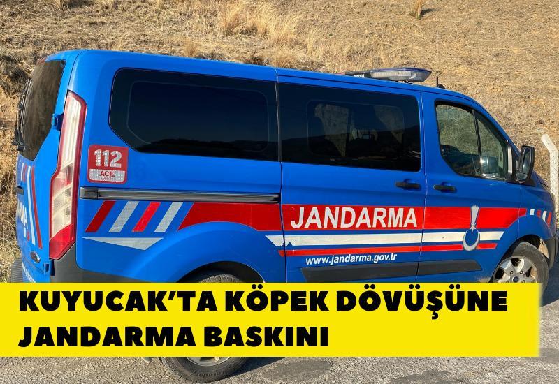 Kuyucak’ta köpek dövüşüne jandarma baskını