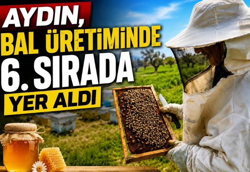 Aydın, bal üretiminde 6. sırada yer aldı