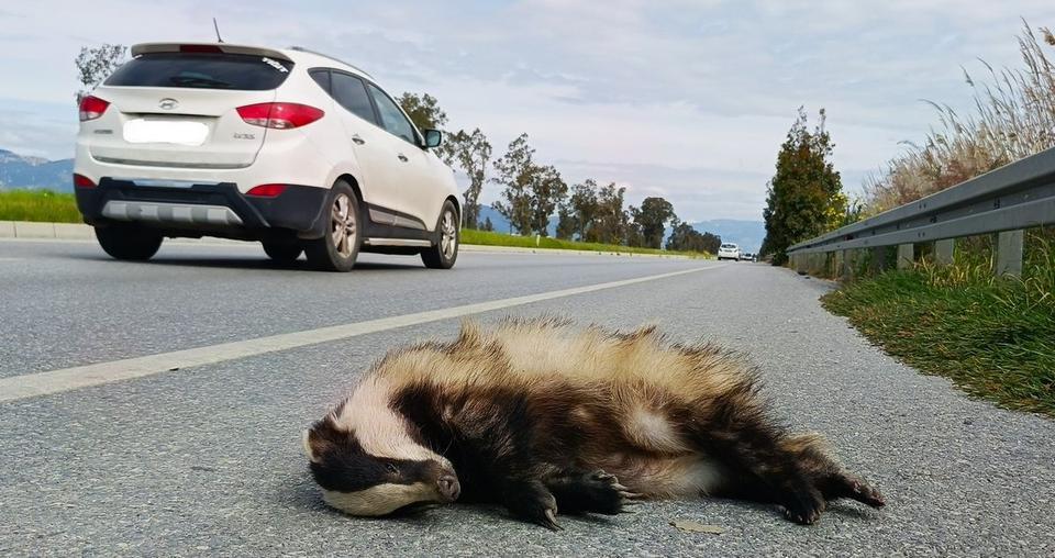 Aydın’da bu yol ölüm saçıyor
