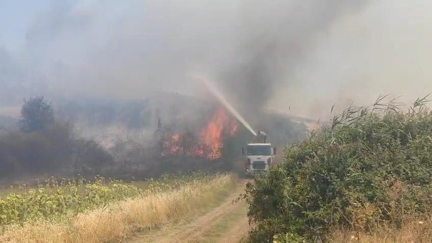 TEKİRDAĞ'DAKİ ORMAN YANGINI TARIM ARAZİLERİNE SIÇRADI: 2 MAHALLE TAHLİYE EDİLDİ