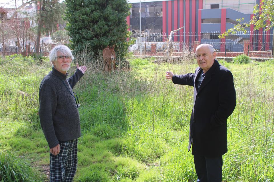 SAHİPLERİ ÖLÜME TERK ETTİ, RESMİ KURUMLAR TOPU BİRBİRİNE ATTI YAĞMURDA ISLANAN BAĞLI HALDEKİ KATIRLAR ÖLÜME TERK EDİLDİ