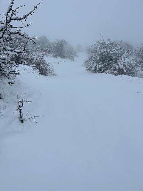 MART SONUNDA KARINCALI DAĞ'DA KAR SÜRPRİZİ BOZDOĞAN BEYAZA BÜRÜNDÜ